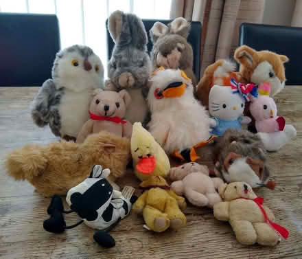 Photo of free Soft Toys (Kenilworth CV8) #1