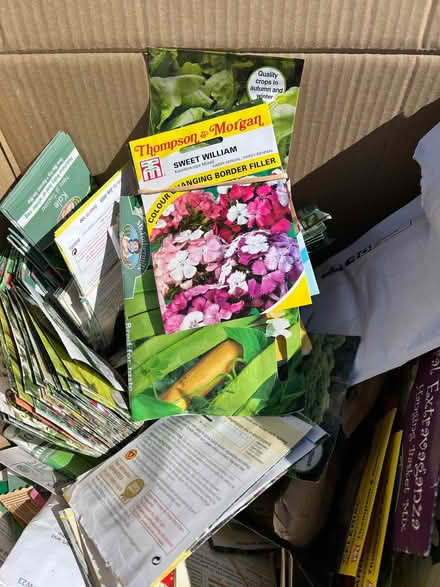 Photo of free Garden Seeds (Bayworth OX13) #1