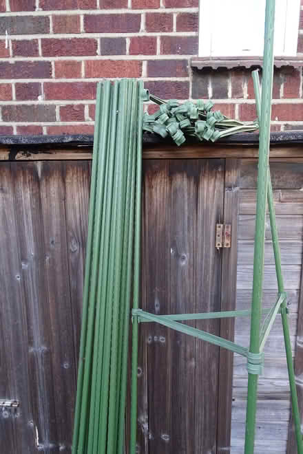 Photo of free Tomato/climbing plant supports, slug granules - Leagrave LU4 (Lewsey Farm LU4) #2