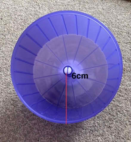 Photo of free Hamster cage, accessories and food (East Kilbride) #3