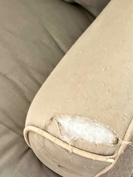 Photo of free X-Large Chair + ottoman/footrest (16th st hts dc) #4