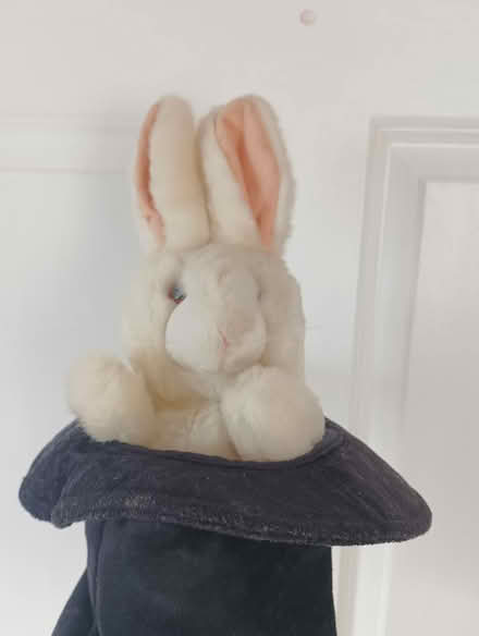Photo of free Magician hat (Greystones) #2