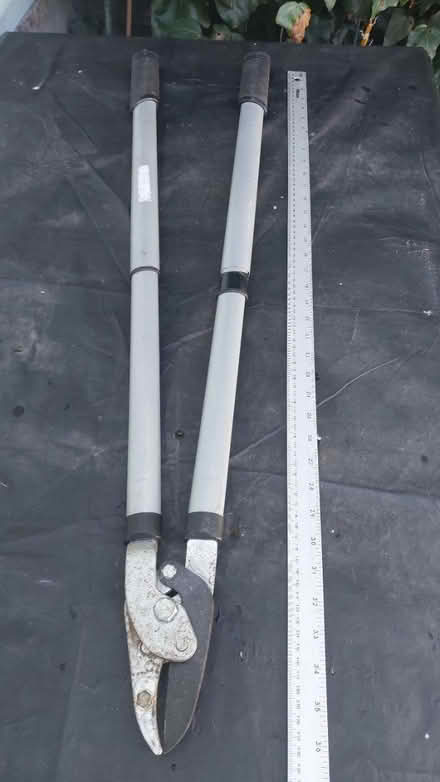 Photo of free Garden Loppers for repair (Ealing Pitshanger W5) #2