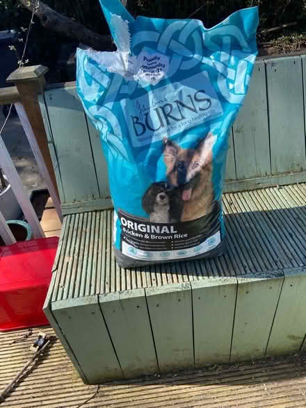 Photo of free Dog food (BT10) #1