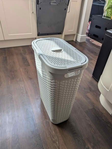 Photo of free Laundry basket (Abingdon OX14) #1