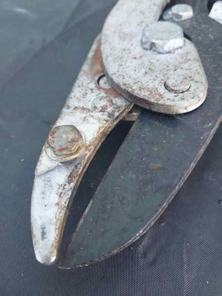 Photo of free Garden Loppers for repair (Ealing Pitshanger W5) #3