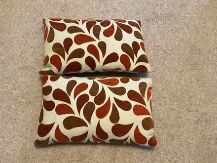 Photo of free 2 rectangular feather filled cushions (World's End RH15) #1