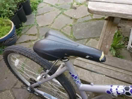 Photo of free Bicycle (Bray SL6) #3