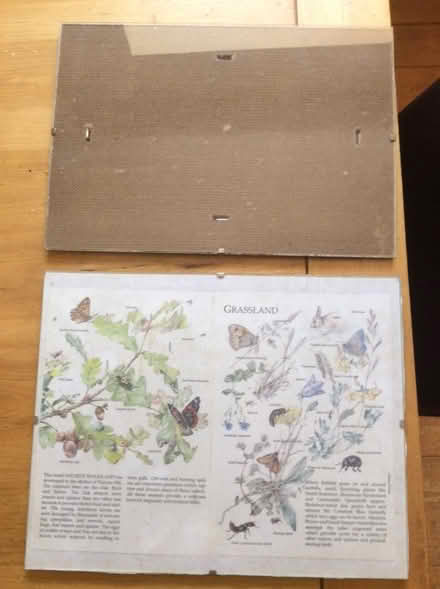 Photo of free 2 Clip frames (Charminster BH8) #1