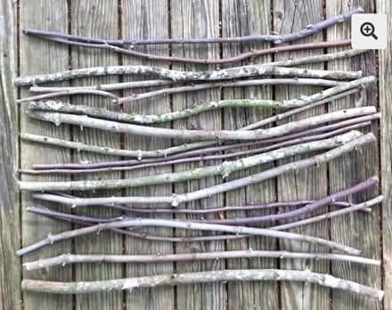 Photo of Branches/wood to fill raised bed (Sundorne SY1) #1