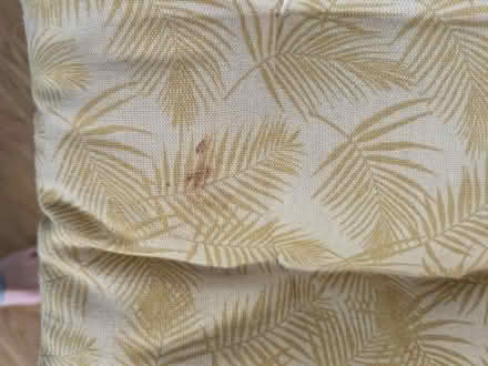 Photo of free Used chair cushions (3) (S40 Brampton) #3