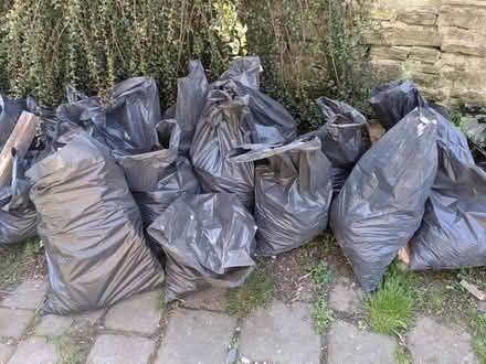 Photo of free Bagged Hardcore (S3 (S3 (Burngreave)) #1
