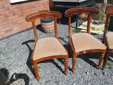 Photo of free 5 x dining chairs (Greystones) #3