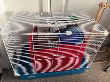 Photo of free Hamster cage, accessories and food (East Kilbride) #4