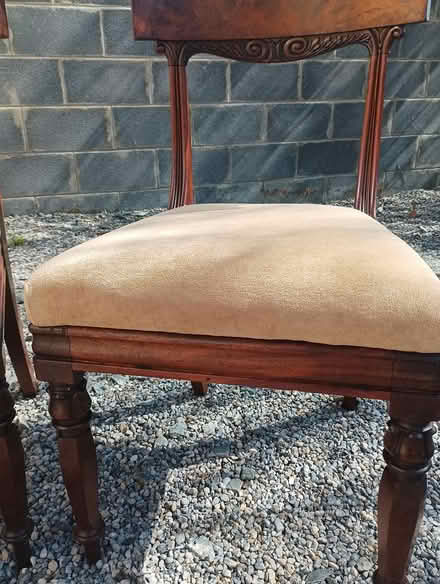 Photo of free 5 x dining chairs (Greystones) #4