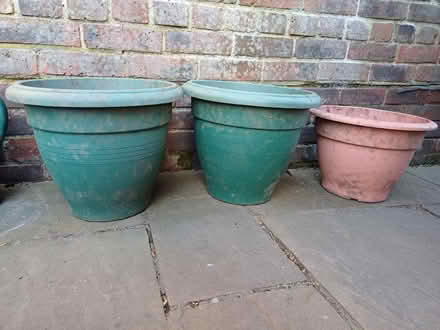 Photo of free 3 plastic plant pots large (New Malden KT3) #1