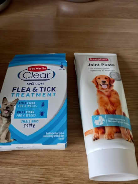Photo of free Elderly dog items (Roundhill area brighton) #4