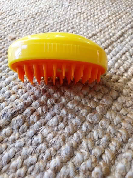 Photo of free "Steamy" cat hypnosis device (Staple Hill BS16) #3