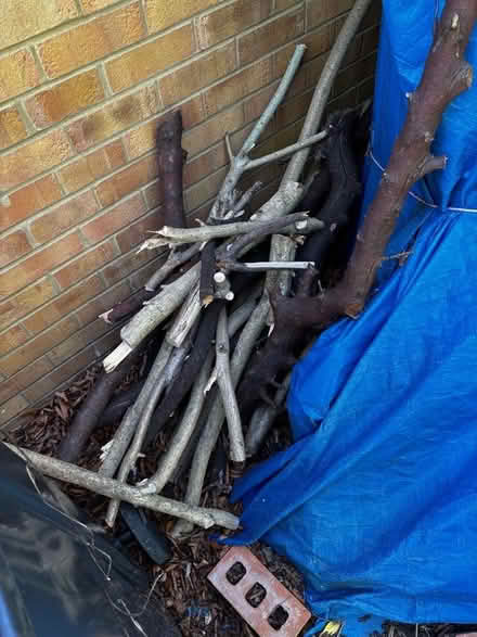 Photo of free Wood (Brickhill MK41) #1