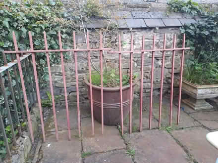 Photo of free Georgian stuff (Dublin city centre) #3
