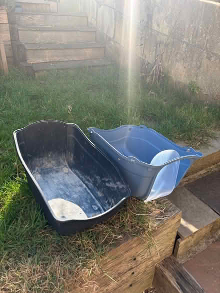Photo of free Litter tray (Bear flat) #3