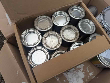 Photo of free Paint samples (Duddingston, EH8) #2