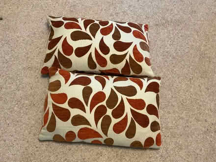 Photo of free 2 rectangular feather filled cushions (World's End RH15) #2