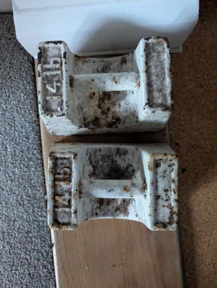 Photo of free 14lb weights (Headington OX3) #2