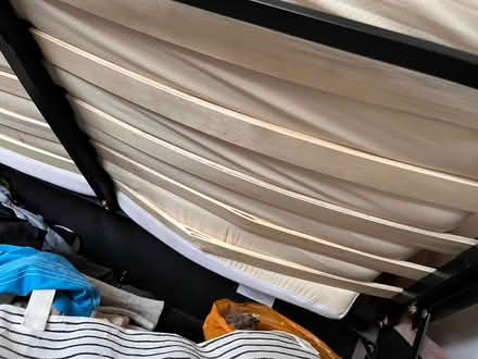 Photo of free Pink velvet bed (N1) #4