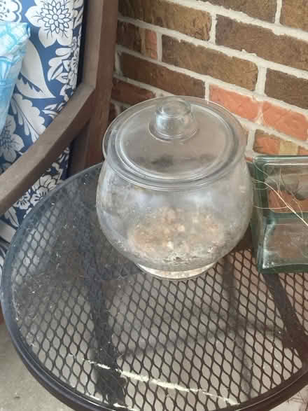 Photo of free Terrarium (Middletown) #1