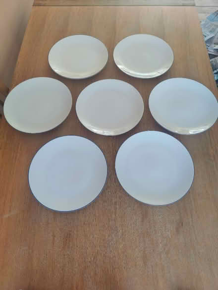 Photo of free Habitat "nil" dinner plates x7 (Crowborough TN6) #1