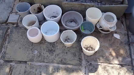 Photo of free Indoor planter selection (Great Sankey WA5) #1