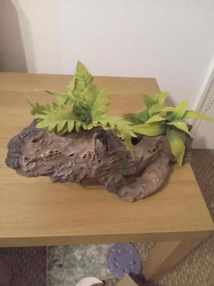 Photo of free Aquarium decoration (Amber Valley DE56) #1
