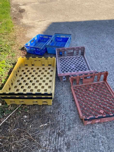 Photo of free 6 x plastic bread. crates (Penyffordd CH4) #1