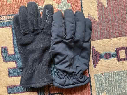 Photo of free thinsulate warm gloves (south sunnyvale) #1