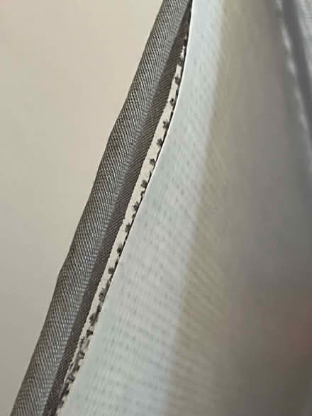 Photo of free Table lamp (WS13) #2