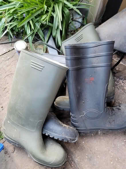 Photo of free Adult Wellies size 11 (Carshalton) #1