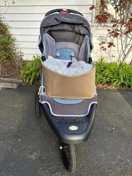 Photo of free Stroller (dog) (N. Juanita (Kirkland) near 405) #1