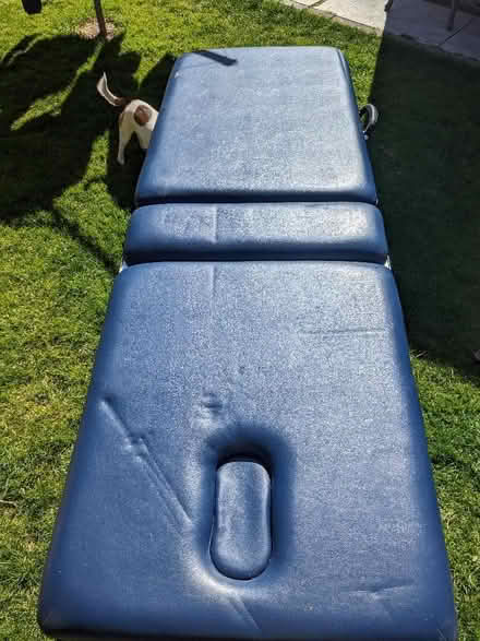 Photo of free Massage Table (Belle Vue SY3) #3