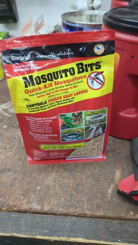 Photo of free 3/4 Bag of mosquito bits (San Pedro and Osuna) #1
