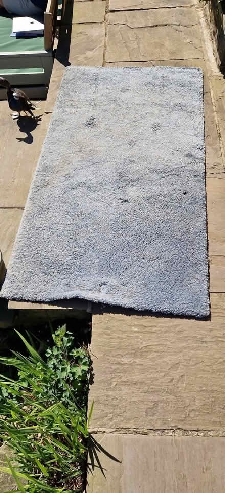 Photo of free Light blue, Ikea rug (Walkley S10) #1