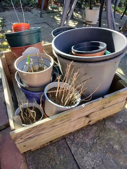 Photo of free Plant pots (Woodseats S8) #1