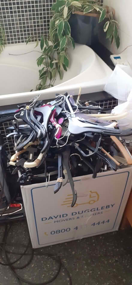 Photo of free Clothes Hangers (New Tupton S42) #1