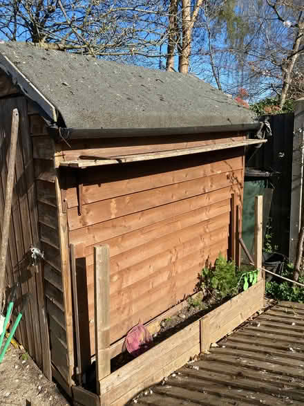 Photo of free Shed (Swanley BR8) #3