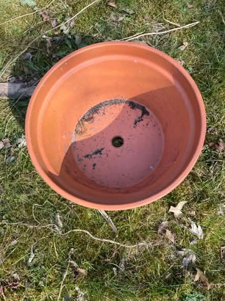 Photo of free Terracotta plant pot (Dore, S17) #2