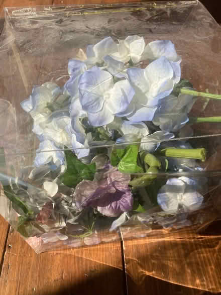 Photo of free Artificial flowers (Wallands Park BN7) #3