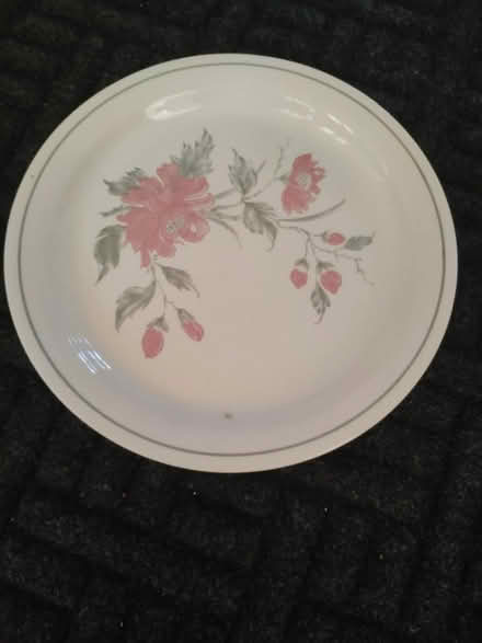 Photo of free Dinner plates (W7) #1