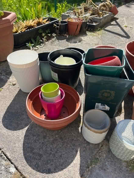Photo of free Plant pods - bulk (NW7) #2
