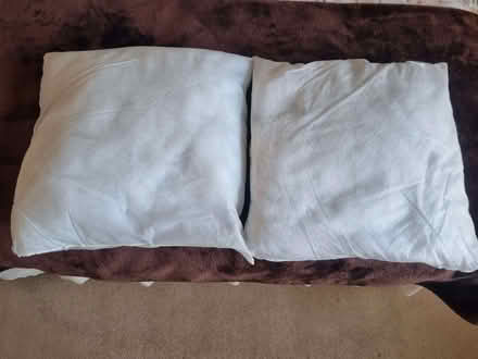 Photo of free Cushion Inner Pads (Oldfield Park) #1