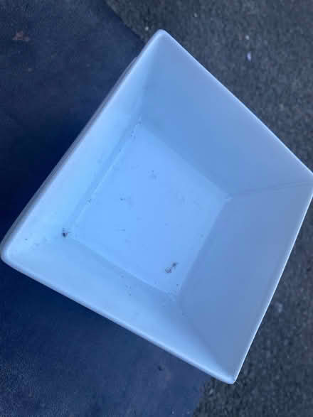 Photo of free 5 square cereal bowls (Worsley M28) #2